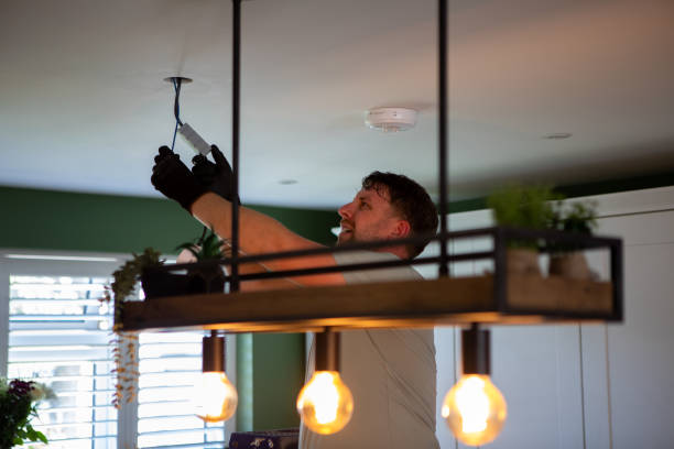 Best Home Electrical Repair  in Ridgely, TN